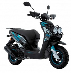 WS175