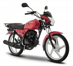 FT125 TS
