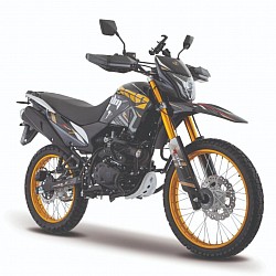 DM300